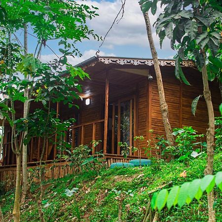 Eco-Por Villa Rio do Ouro Dış mekan fotoğraf