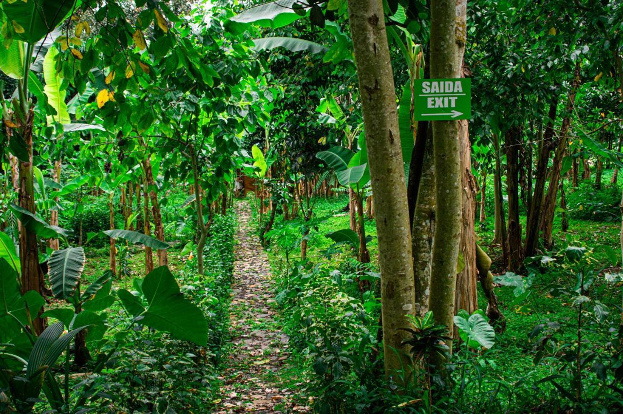 Eco-Por Villa Rio do Ouro Dış mekan fotoğraf